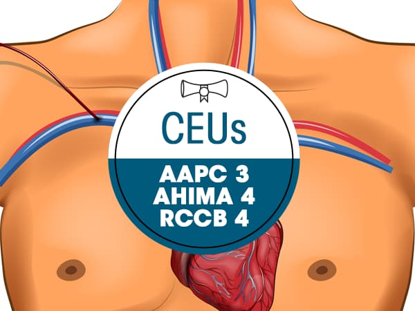 Upper Body Arteriogram