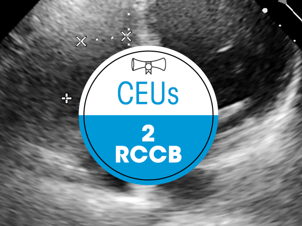 Ultrasound Proficiency Assessment